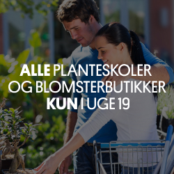Monthly Image logo